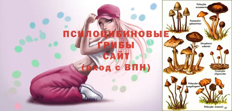 Галлюциногенные грибы MAGIC MUSHROOMS  где можно купить наркотик  Берёзовский 